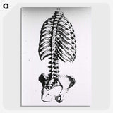 1-100_National-Library-of-Medicine_picture-crop
