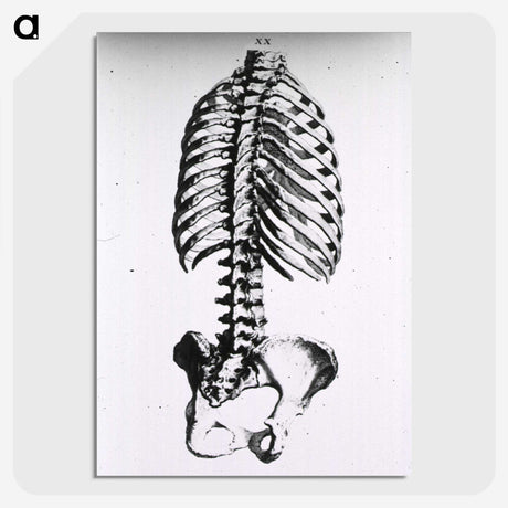 1-100_National-Library-of-Medicine_picture-crop