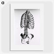 1-100_National-Library-of-Medicine_picture
