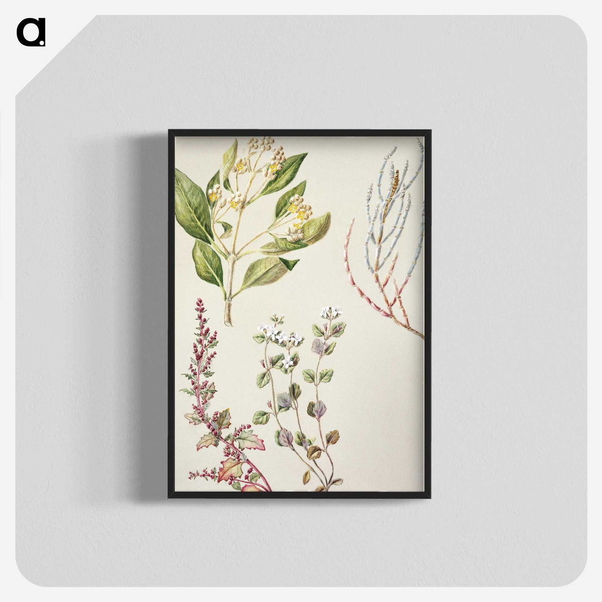 1-100_Native-Flowering-Plants-of-New-Zealand_blk-crop