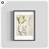 1-100_Native-Flowering-Plants-of-New-Zealand_blk