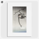 1-100_Ohara-Koson_picture