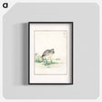 アートポスター-Chinese Little Bittern Illustration
 - 鳥類図鑑 Poster.
