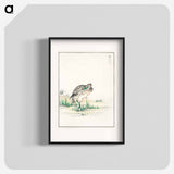 アートポスター-Chinese Little Bittern Illustration
 - 鳥類図鑑 Poster.