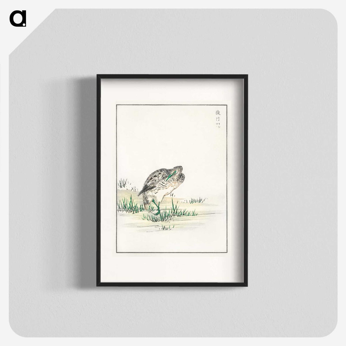 1-100_Pictorial-Monograph-of-Birds_blk