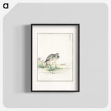 1-100_Pictorial-Monograph-of-Birds_blk
