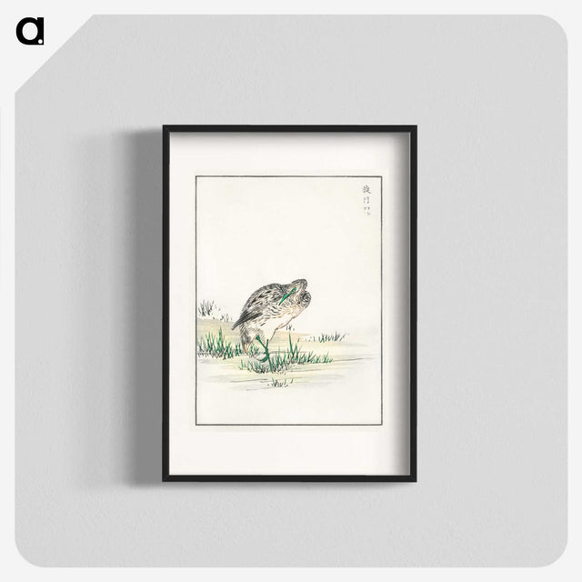 1-100_Pictorial-Monograph-of-Birds_blk
