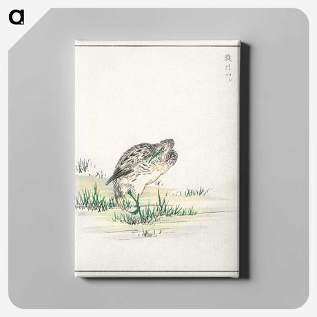 1-100_Pictorial-Monograph-of-Birds_canvas