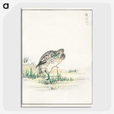 1-100_Pictorial-Monograph-of-Birds_picture-crop