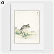 1-100_Pictorial-Monograph-of-Birds_picture