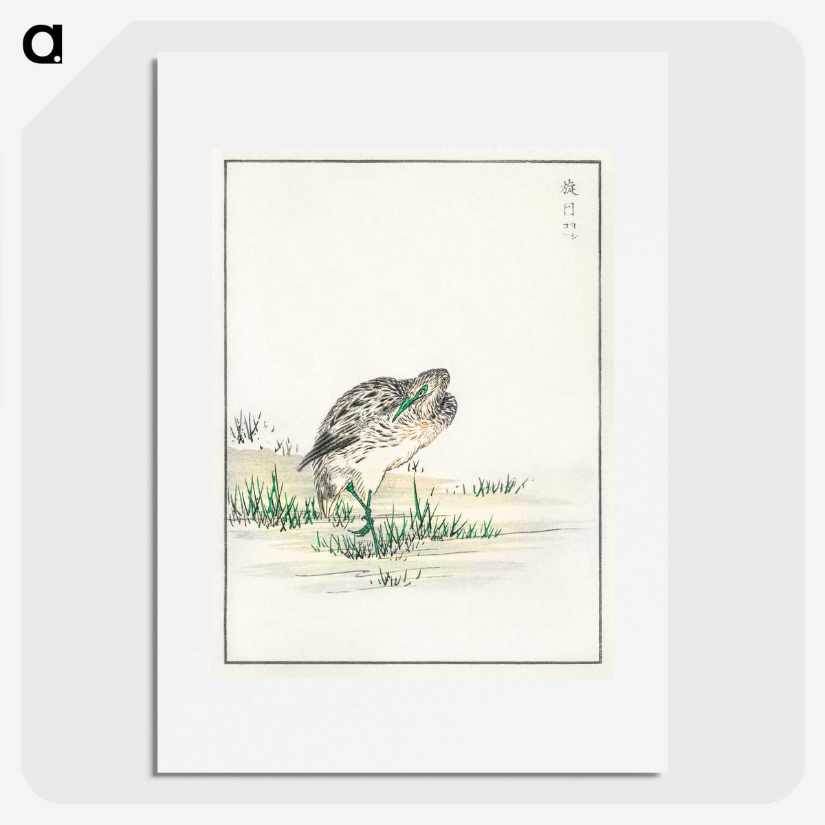 1-100_Pictorial-Monograph-of-Birds_picture