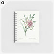 1-100_Pierre-Joseph-Redoute_memo