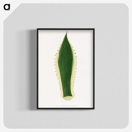 1-100_Plants-with-Colored-Foliage_blk-crop