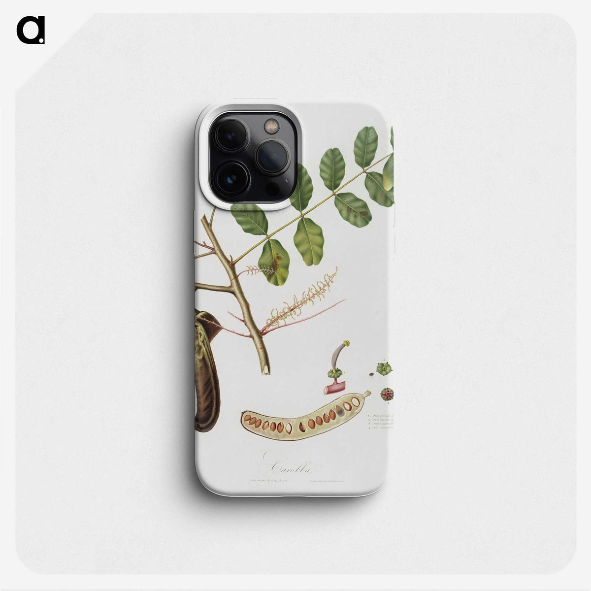 1-100_Pomona-Italiana_phone