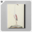 1-100_Robert-Jacob-Gordon_canvas
