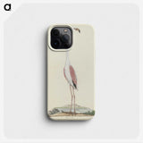 1-100_Robert-Jacob-Gordon_phone