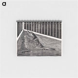 Bird in the Corner of a Cage
 - サミュエル ジェスルン Memo.