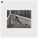 Bird in the Corner of a Cage
 - サミュエル ジェスルン Postcard.