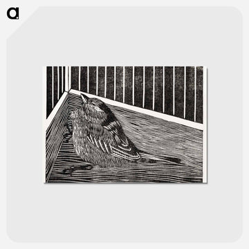 Bird in the Corner of a Cage
 - サミュエル ジェスルン Postcard.