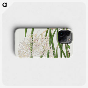 1-100_Seiyo-Soka-Zufu_phone