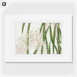 1-100_Seiyo-Soka-Zufu_picture