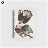 アートメモ帳-Brasilian Caracara Eagle from Birds of America
 - アメリカの鳥たち Memo.
