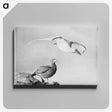 1-100_The-Burton-Brothers_canvas