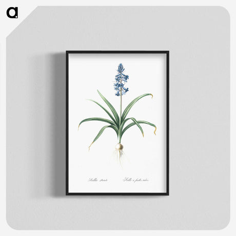 1-100_The-Lilies_blk-crop