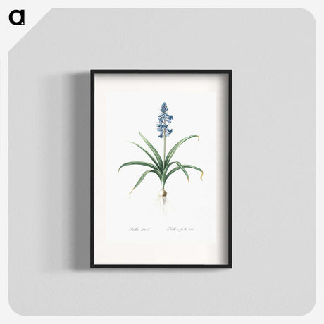 1-100_The-Lilies_blk