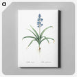 1-100_The-Lilies_canvas