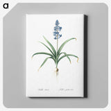 1-100_The-Lilies_canvas