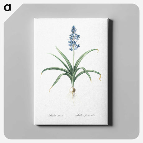 1-100_The-Lilies_canvas