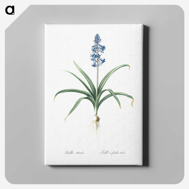 1-100_The-Lilies_canvas
