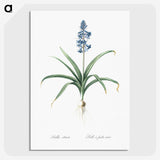 1-100_The-Lilies_picture-crop