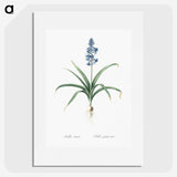 1-100_The-Lilies_picture