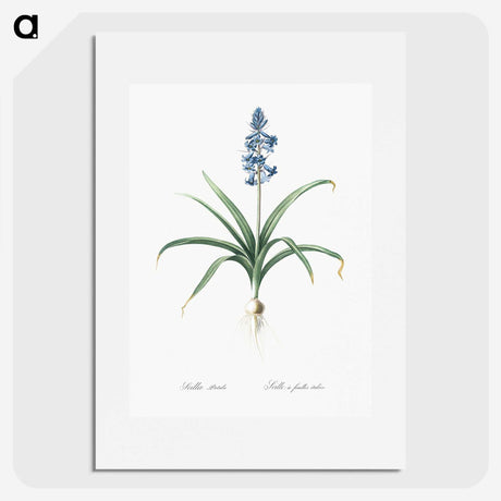 1-100_The-Lilies_picture