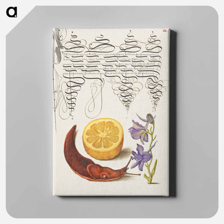 アートパネル-Sour Orange, Terrestrial Mollusk, and Larkspur from Mira Calligraphiae Monumenta
 - 書道のお手本 Canvas.