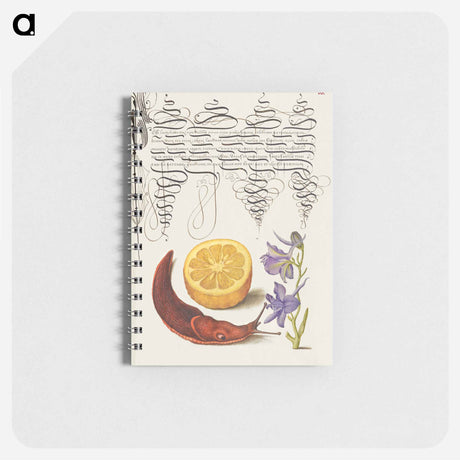 アートメモ帳-Sour Orange, Terrestrial Mollusk, and Larkspur from Mira Calligraphiae Monumenta
 - 書道のお手本 Memo.