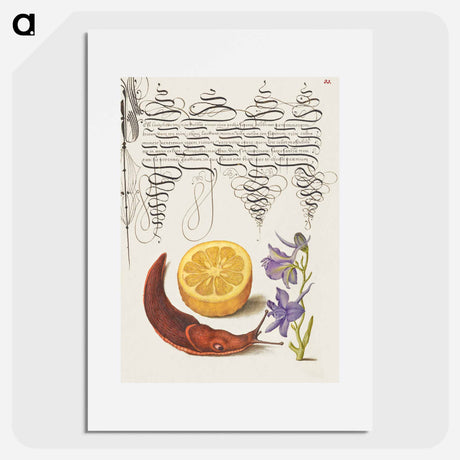 アートポスター-Sour Orange, Terrestrial Mollusk, and Larkspur from Mira Calligraphiae Monumenta
 - 書道のお手本 Poster.