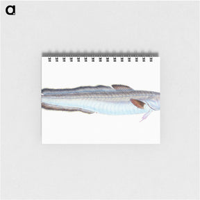 1-100_The-Natural-History-of-British-Fishes_memo