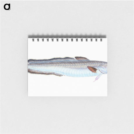 1-100_The-Natural-History-of-British-Fishes_memo