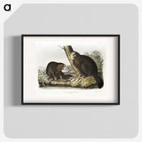 1-100_The-Viviparous-Quadrupeds_blk