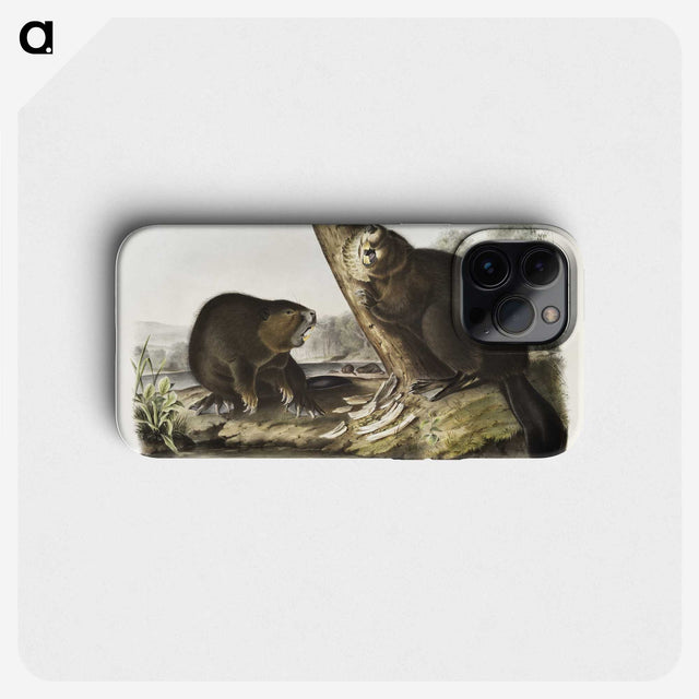 1-100_The-Viviparous-Quadrupeds_phone