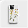 1-100_Treatise-on-Trees-and-Shrubs_phone