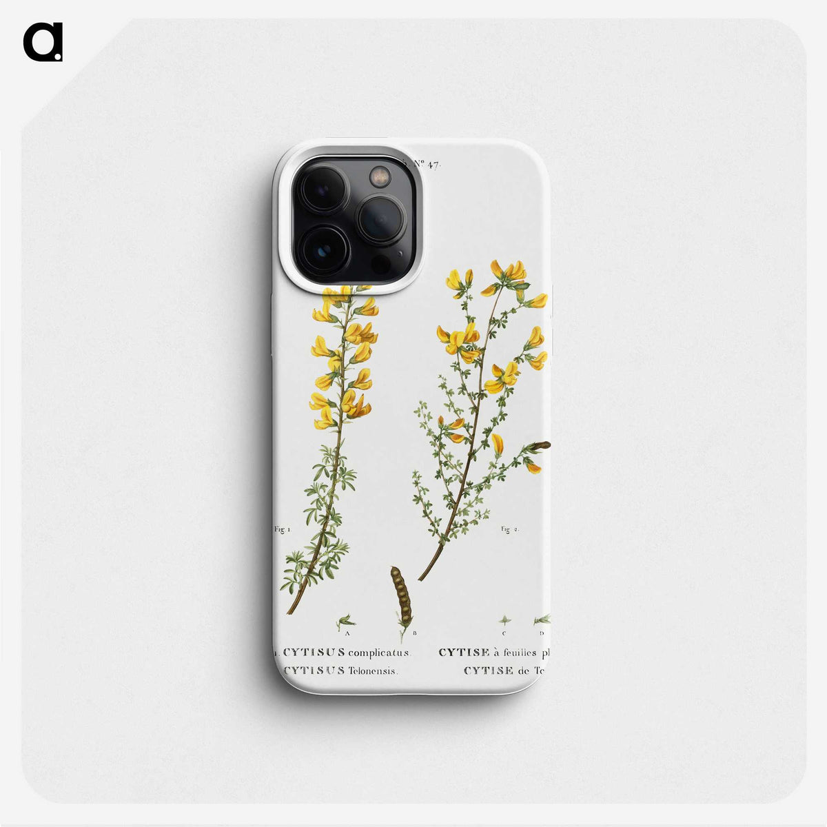 1-100_Treatise-on-Trees-and-Shrubs_phone