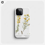 1-100_Treatise-on-Trees-and-Shrubs_phone