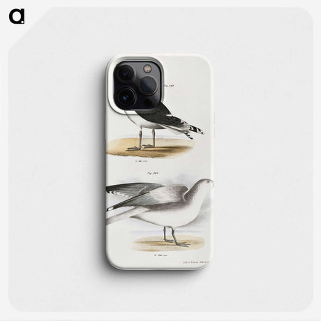 1-100_Zoology-of-New-York_phone