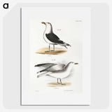1-100_Zoology-of-New-York_picture