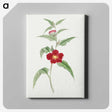 1-10_19th-Century-Japanese-Flowers_canvas