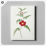1-10_19th-Century-Japanese-Flowers_canvas